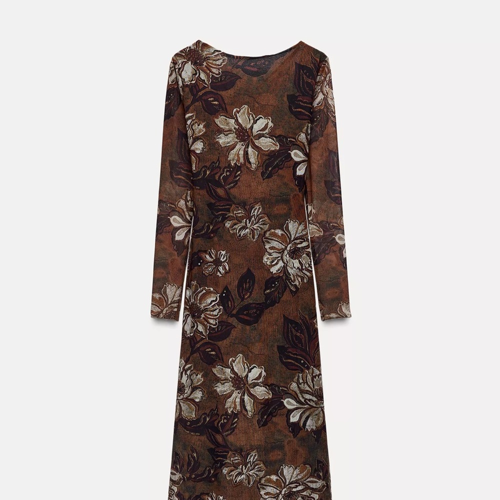 Zara Brown and Cream Floral Tulle Long Sleeve Dress